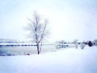 Winter at Home in Delaware
