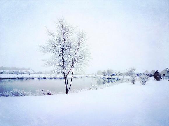 Winter at Home in Delaware