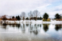 Winter at Home in Delaware