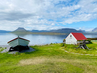Vigur Island, Iceland